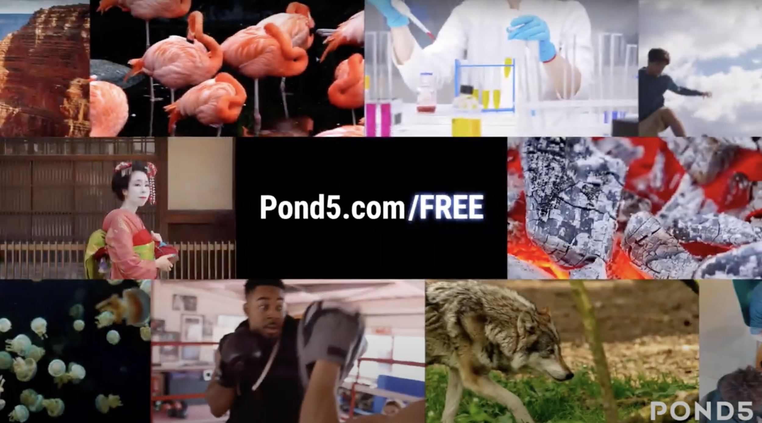Art Director at Pond5