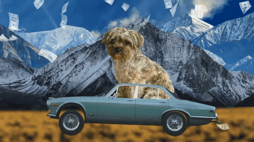  Client: Abbey Katz Creative All Types of Visuals For All Types of Budgets. 