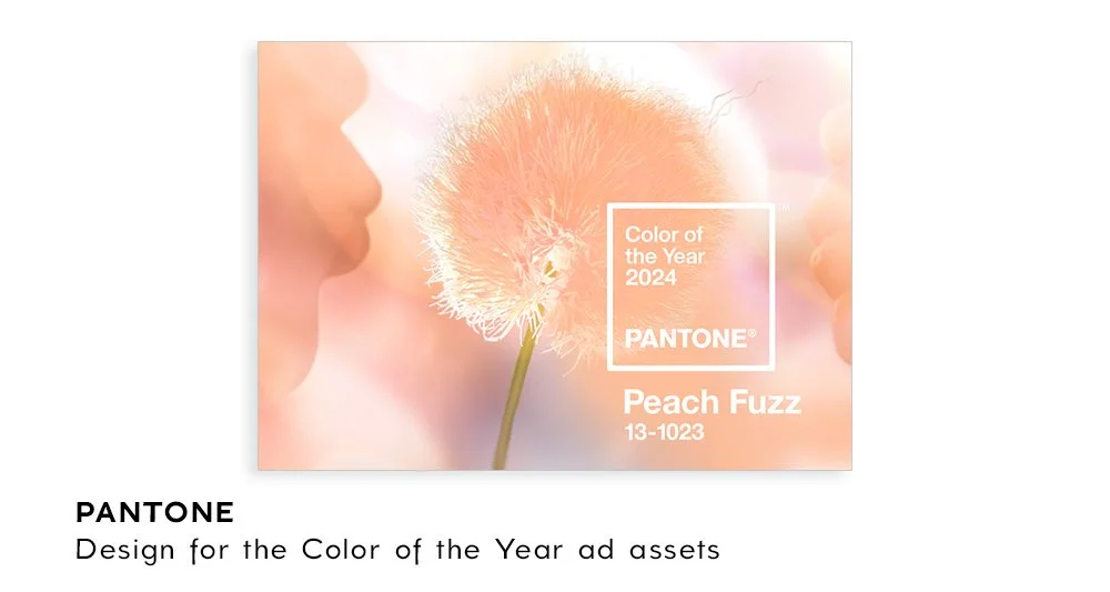   Client:    Pantone   Graphic Design for promo ads using Pantone’s Color of the Year photo and assets. 