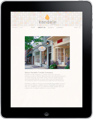 ipad3.png
