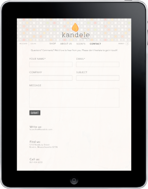 ipad5.png