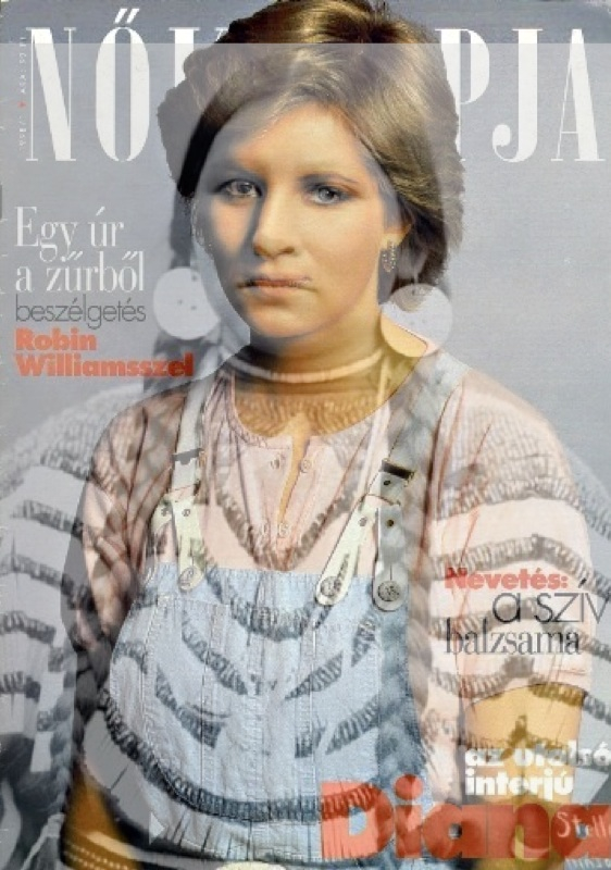 Princess Diana Stella , 2013. Digital Print, 16" X 20". This is from a series entitled, "White Stars."