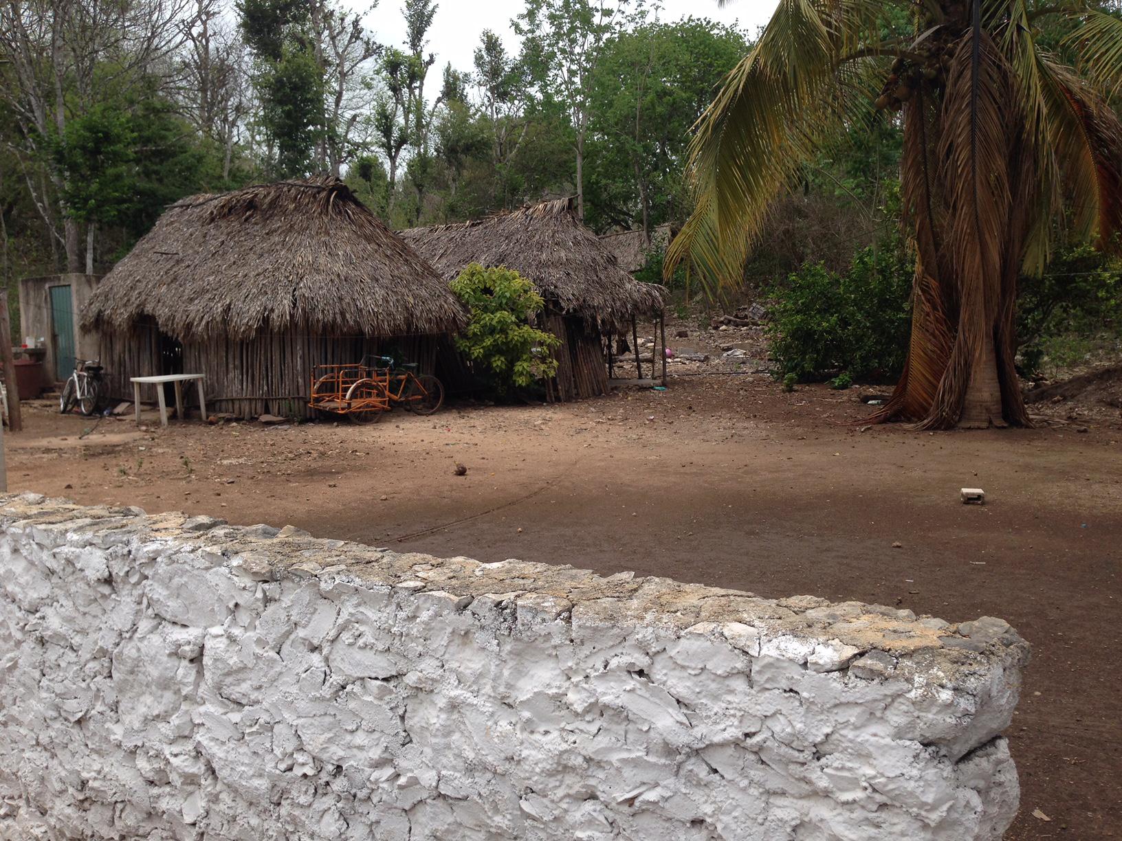 Example of palapas.