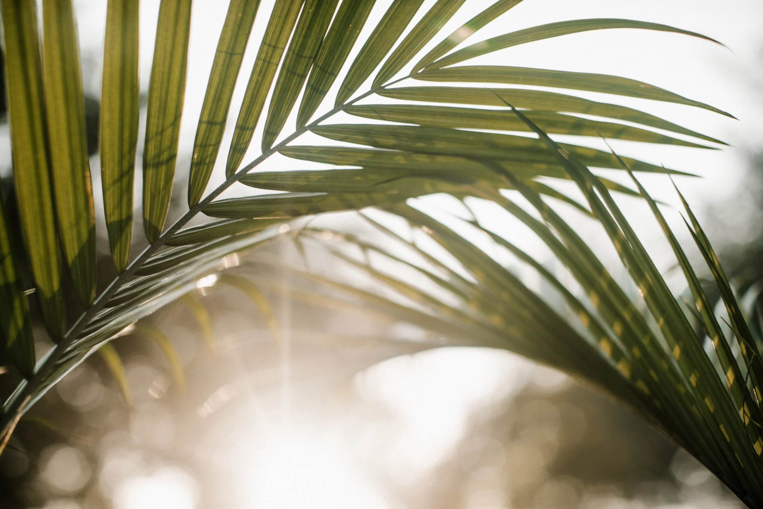 lightstock_432724_download_medium_user_2644272.jpg