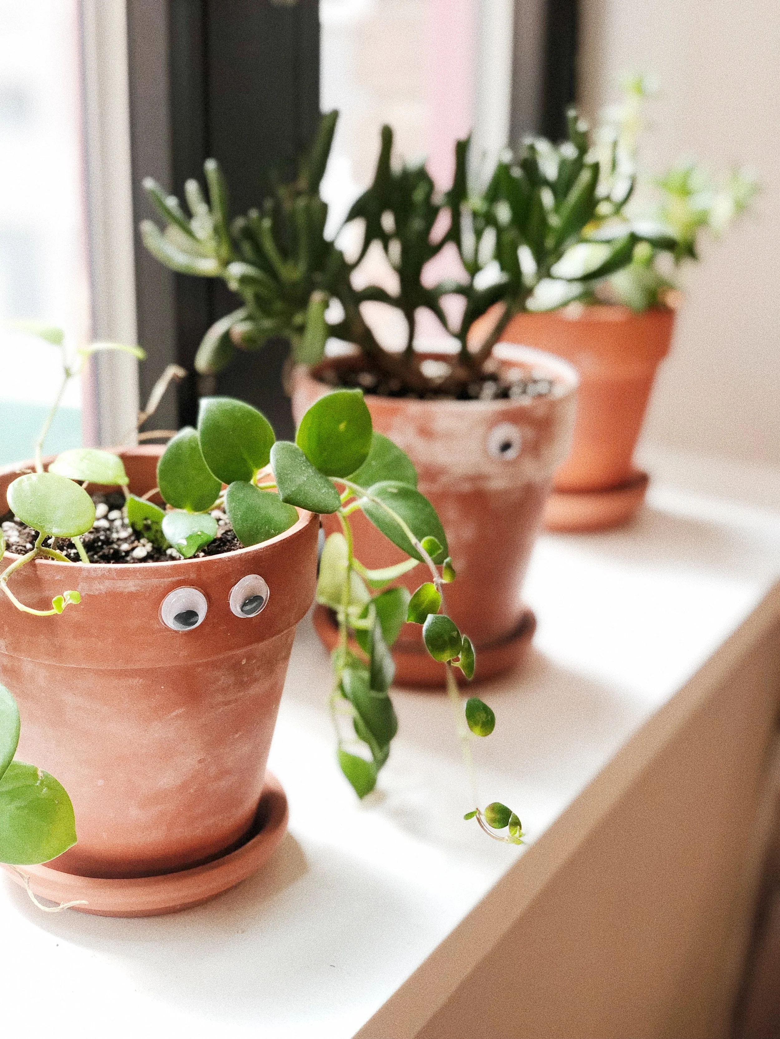 Weekend Project: Googly-Eyed Planters