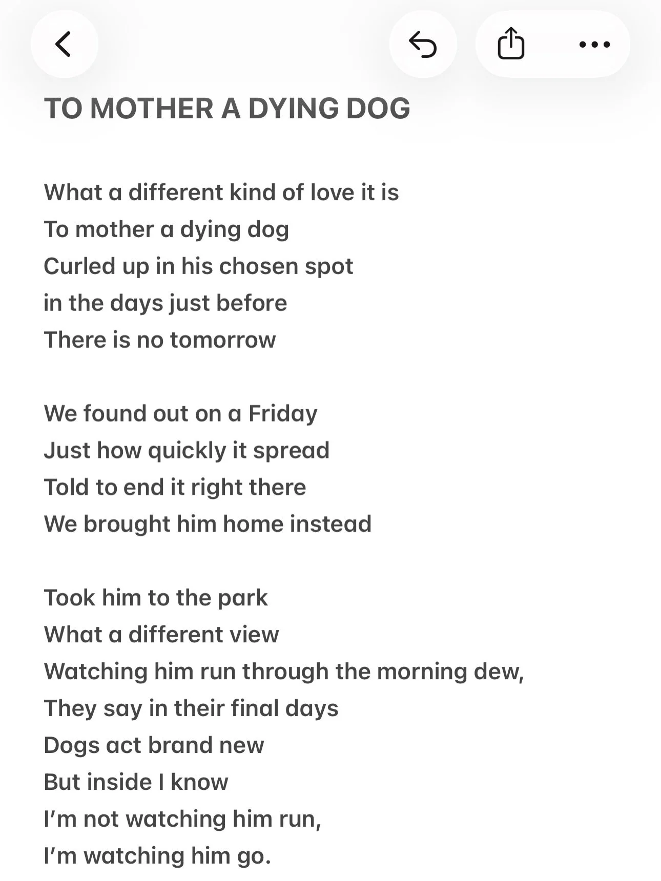 Last week, we said goodbye to our beloved Winston, and I couldn&rsquo;t help but write this poem in his memory. How lucky are we to have known such a kind soul.