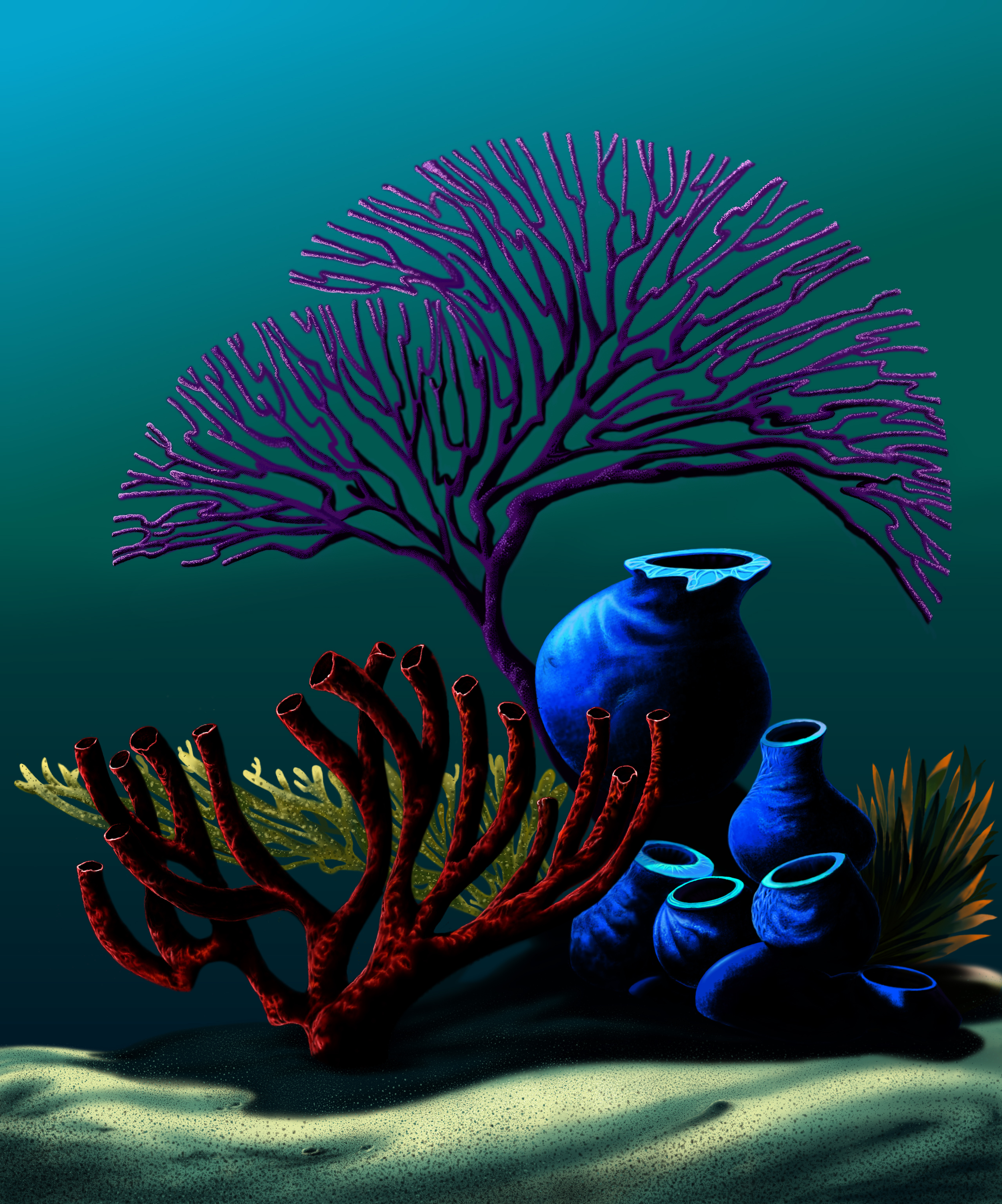 Coral copy.jpg