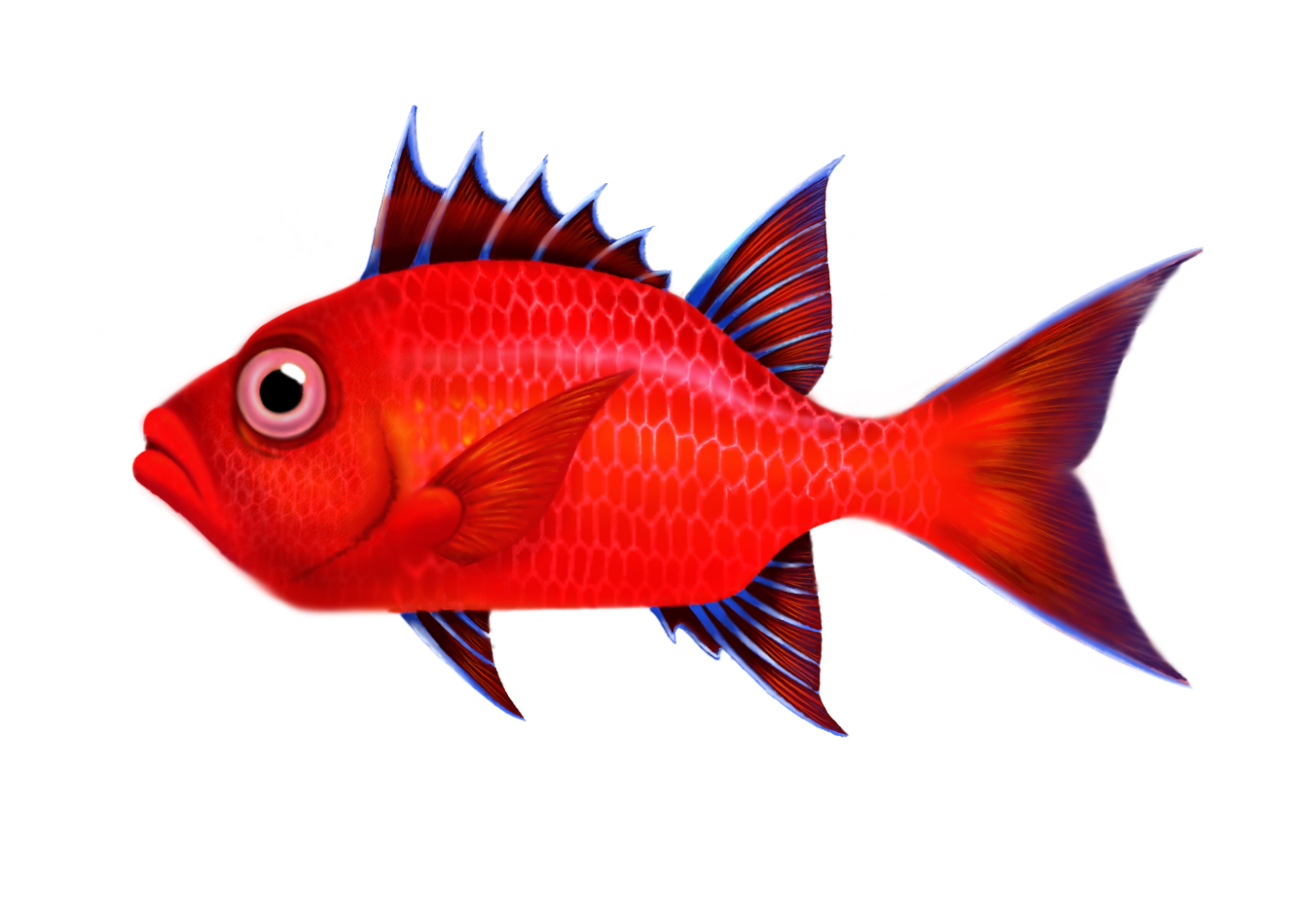 ginger copy.jpg