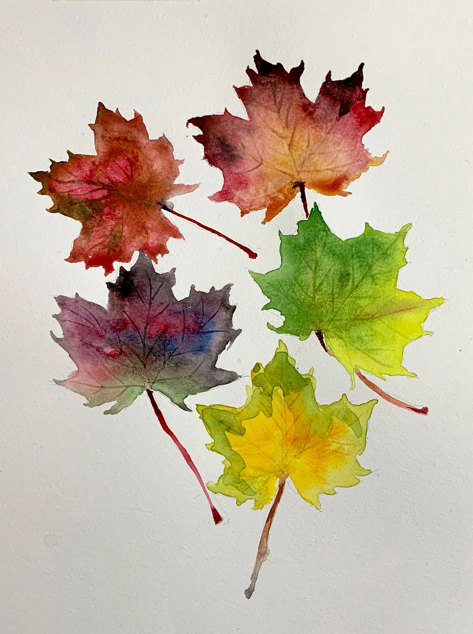 LEAVES , 2018. Watercolor.