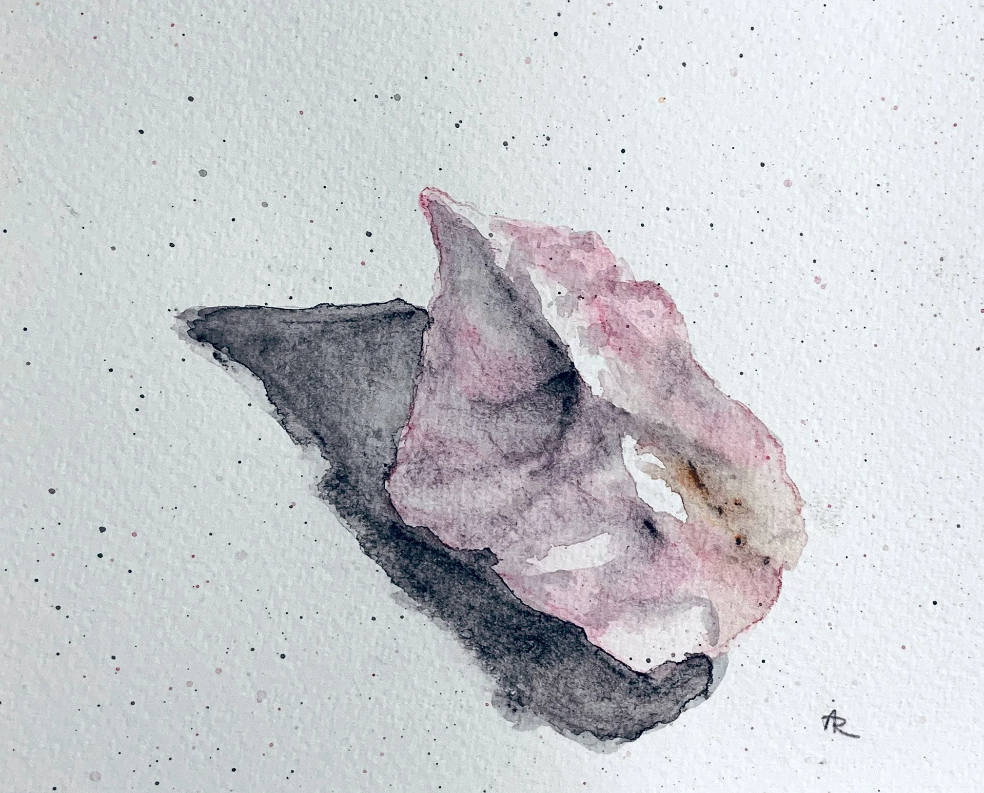 ROSE QUARTZ , 2018. Watercolor pencils.