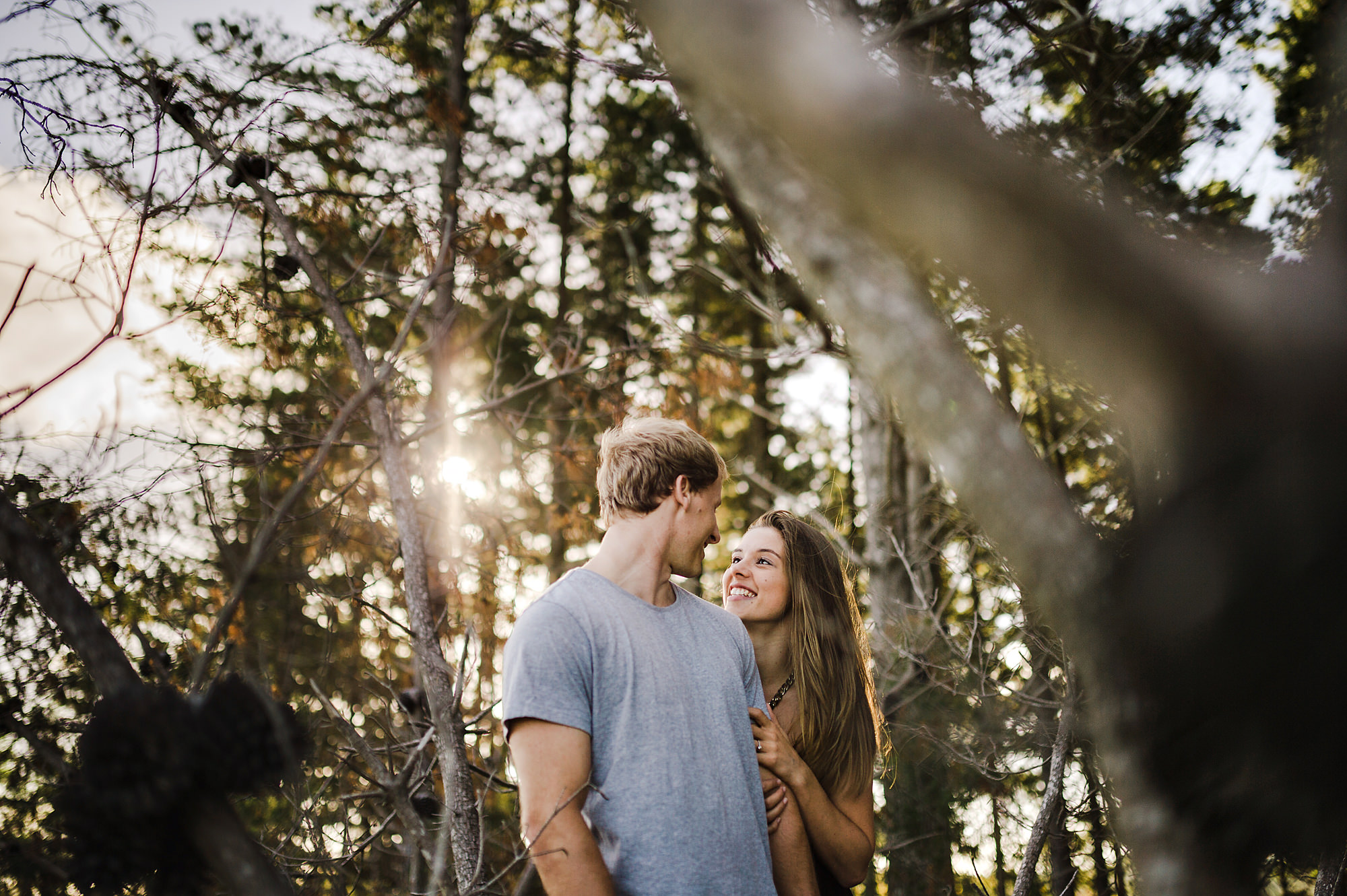 3 cute couple in trees new zealand.jpg