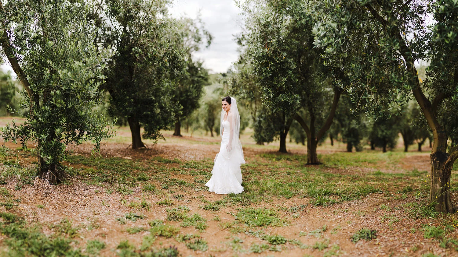 Bride in Bracu Olive groves.jpg