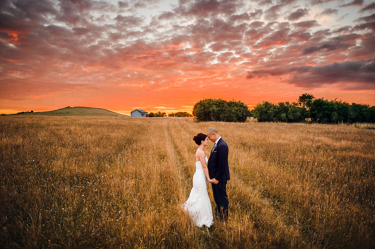 Wedding Couple in field red sunset Bracu.jpg