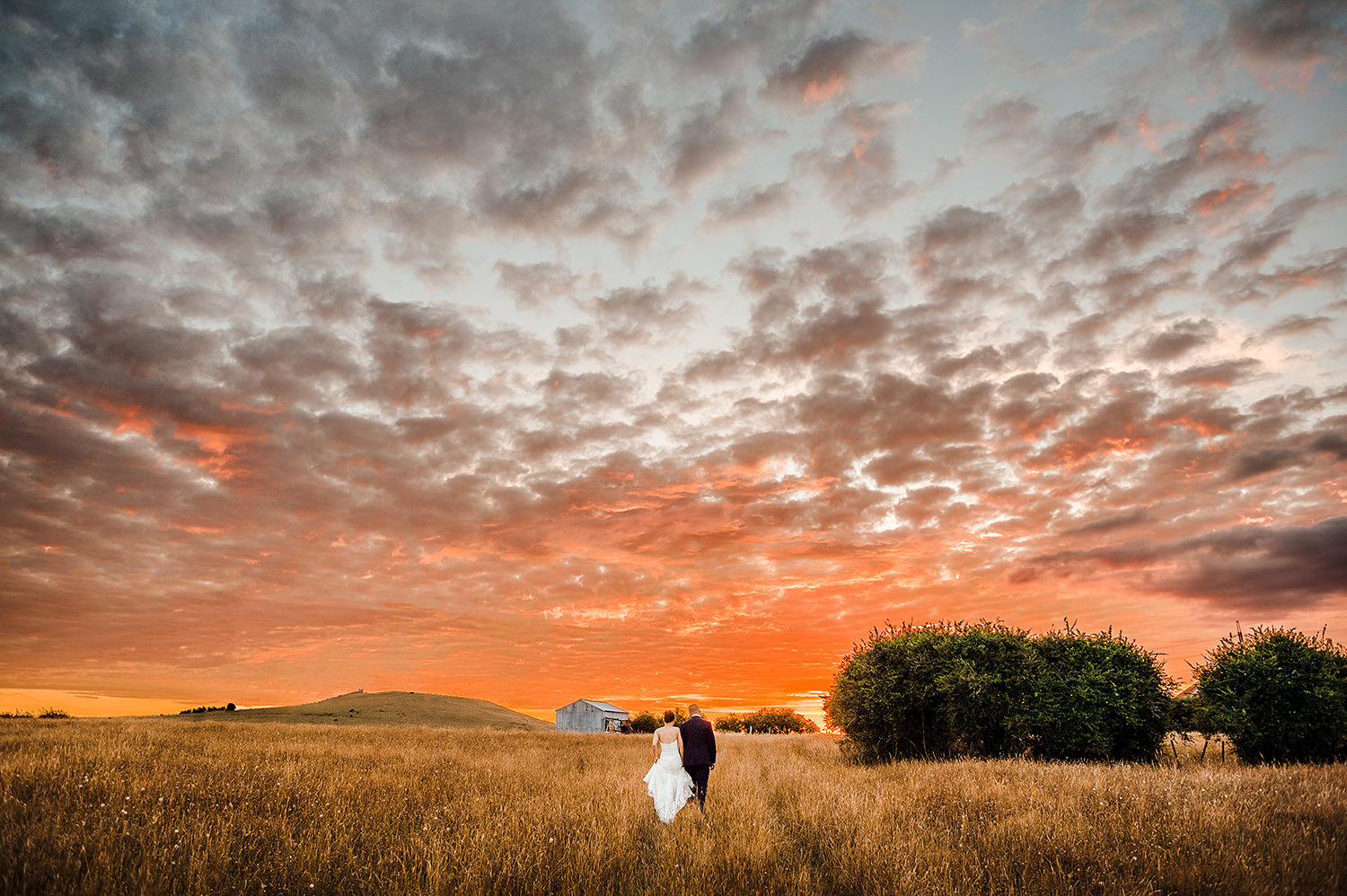 Couple walking into field at sunset.jpg