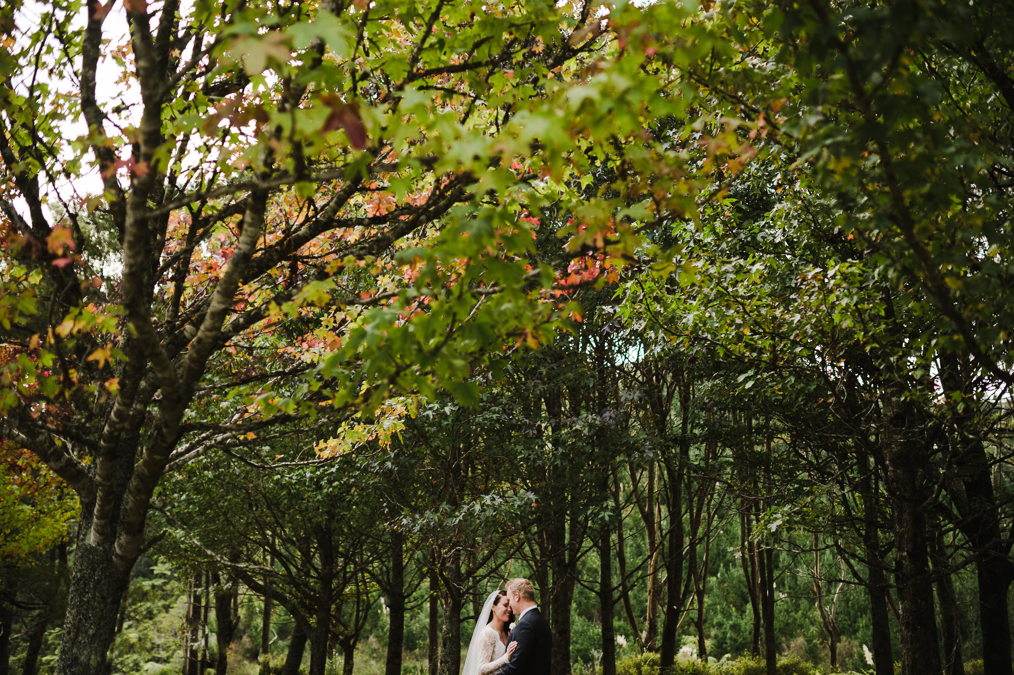 autumn wedding new zealand.jpg