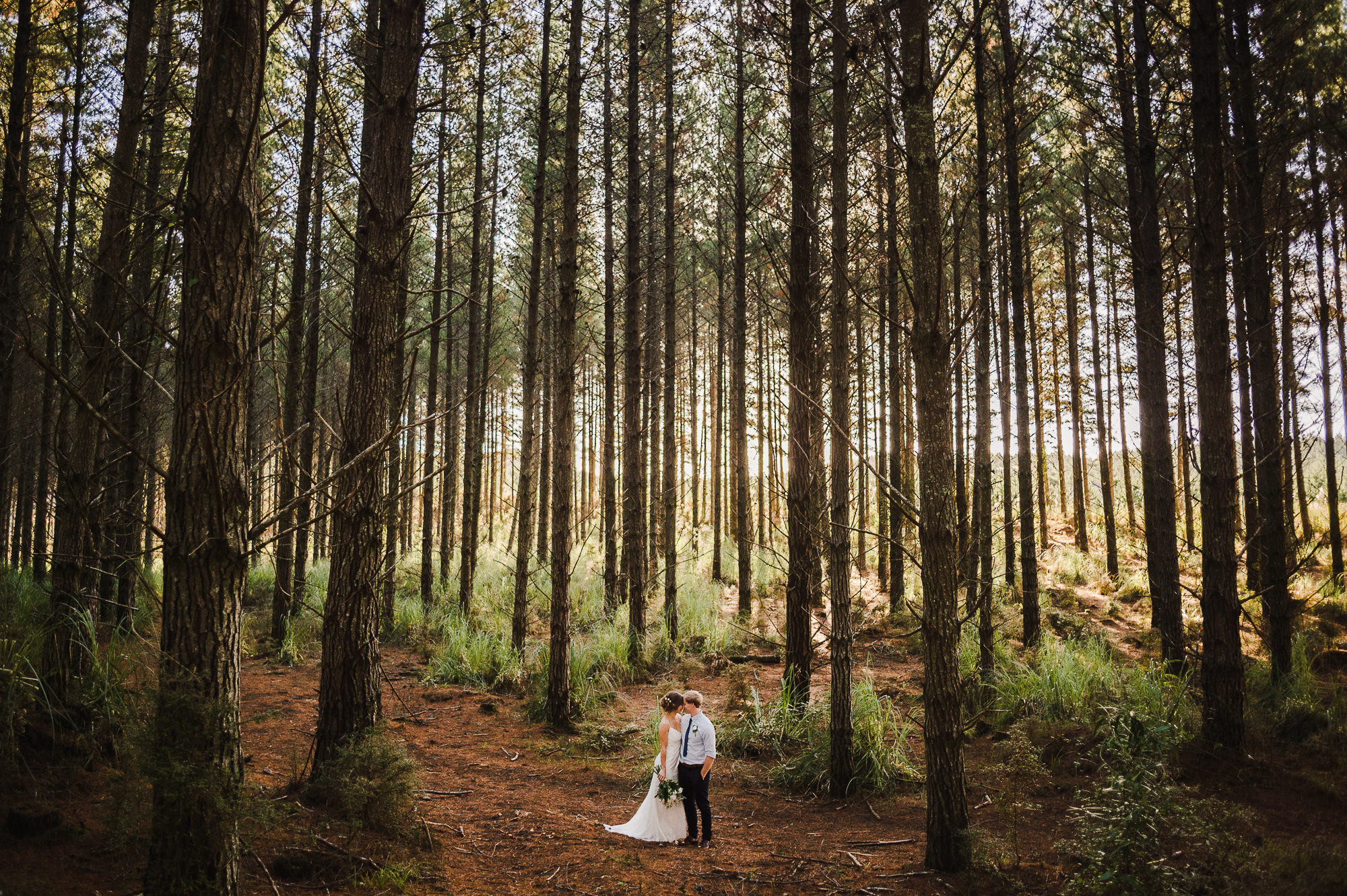 bride and groom lanscape shot in forest.jpg