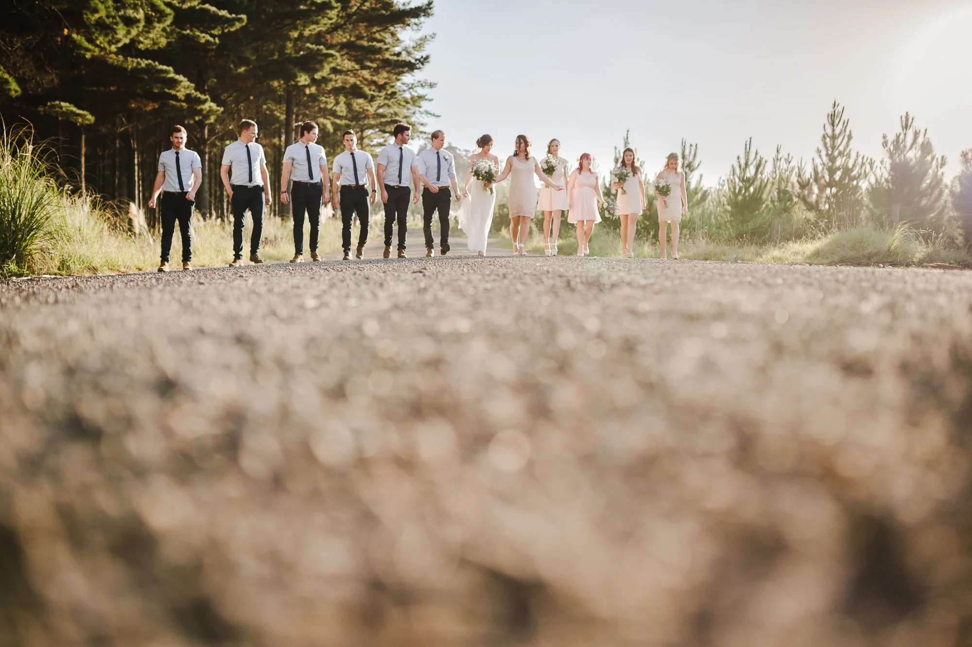 big bridal party walking along road.jpg