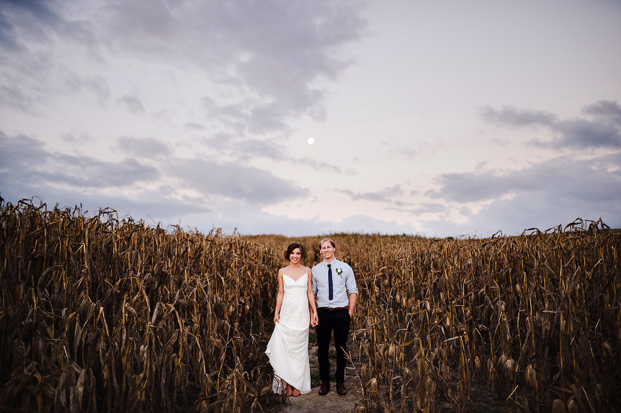 auckland wedding photographer cornfield at dusk.jpg