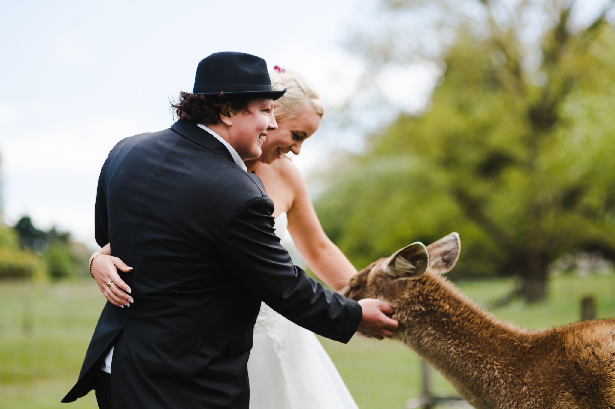 50 wedding couple patting deer new zealand.JPG