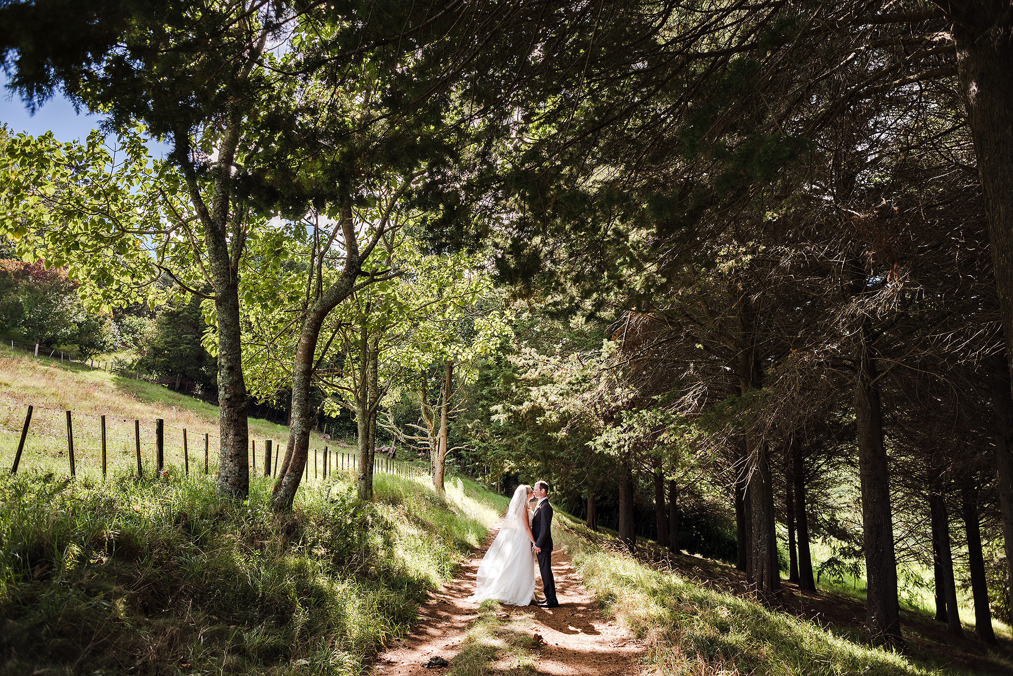 57 forest wedding new zealand.JPG