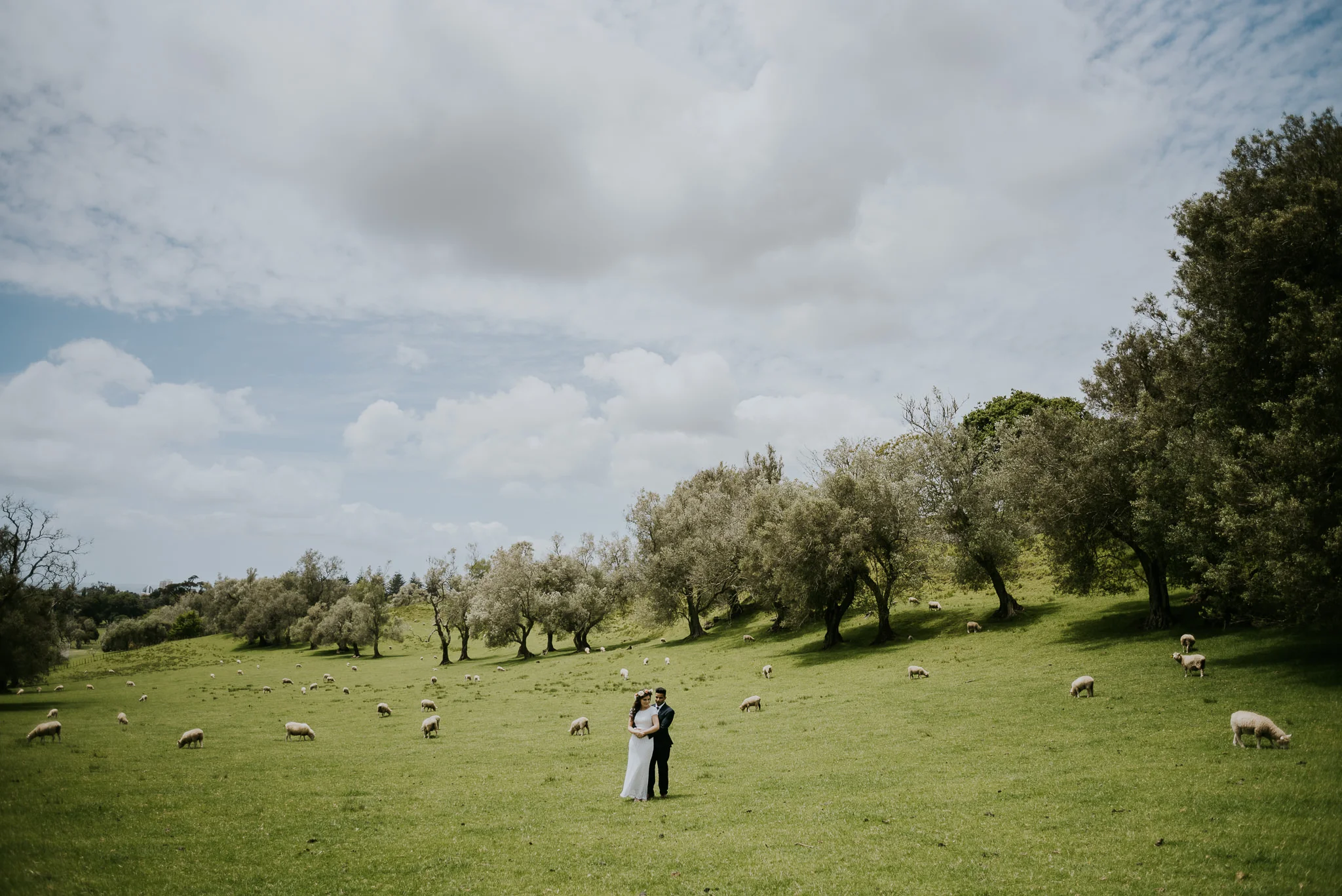 Wedding Photos at Cornwall Park, Auckland