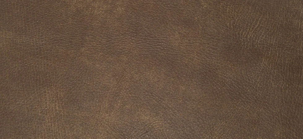 outback.jpg