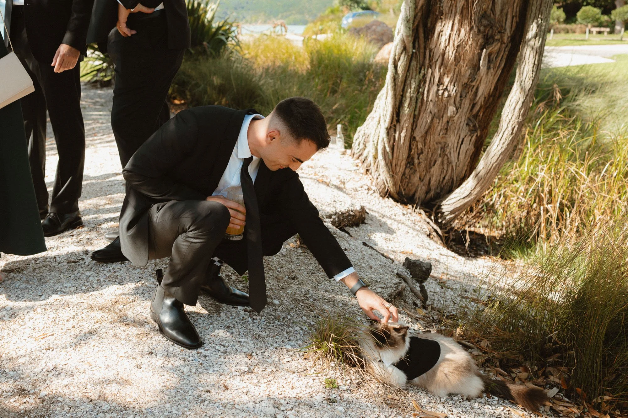 Groomsman patting cat