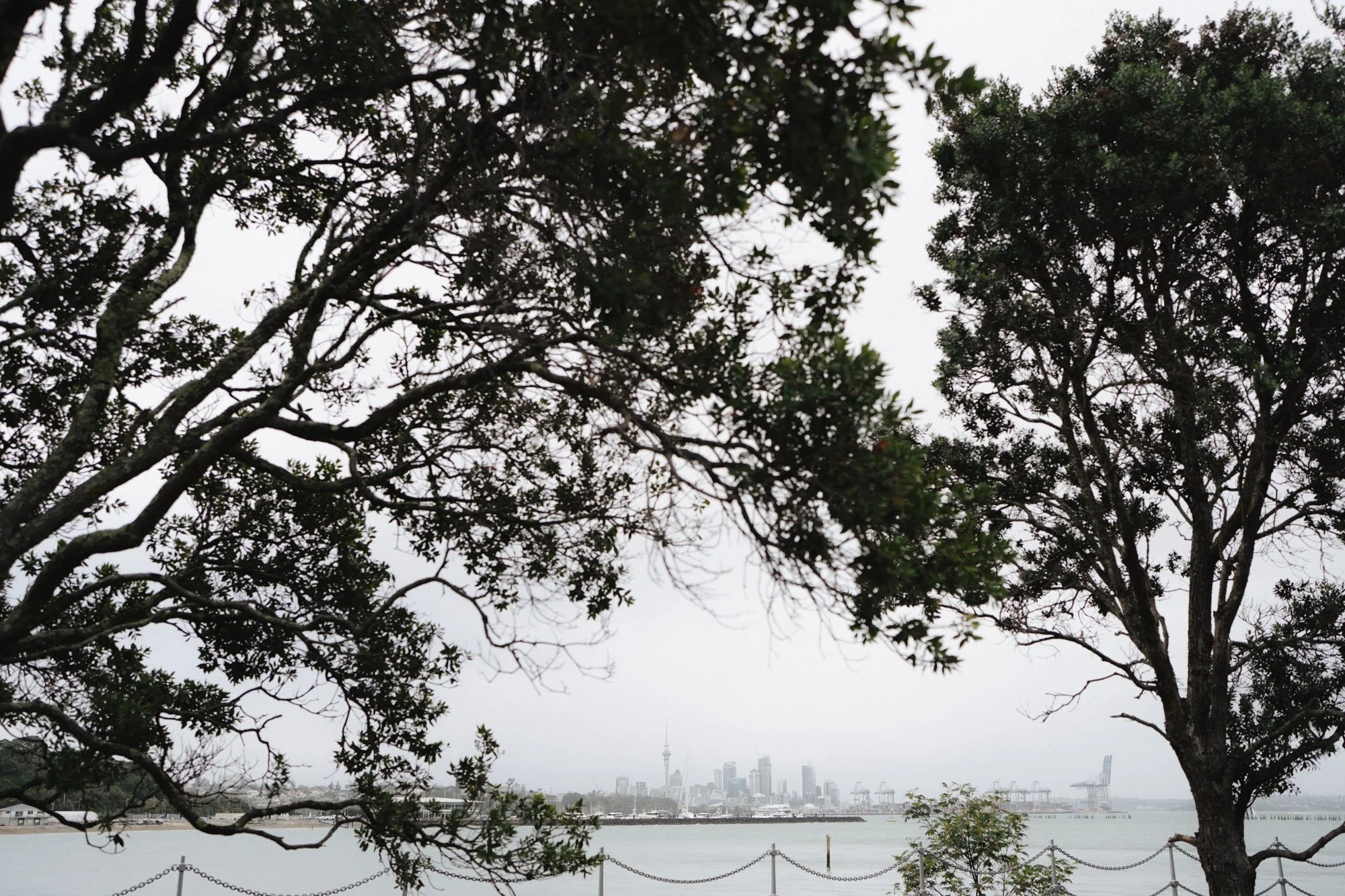 View of Auckland City Skyline and Waterfrom from Antlia Wedding Venue