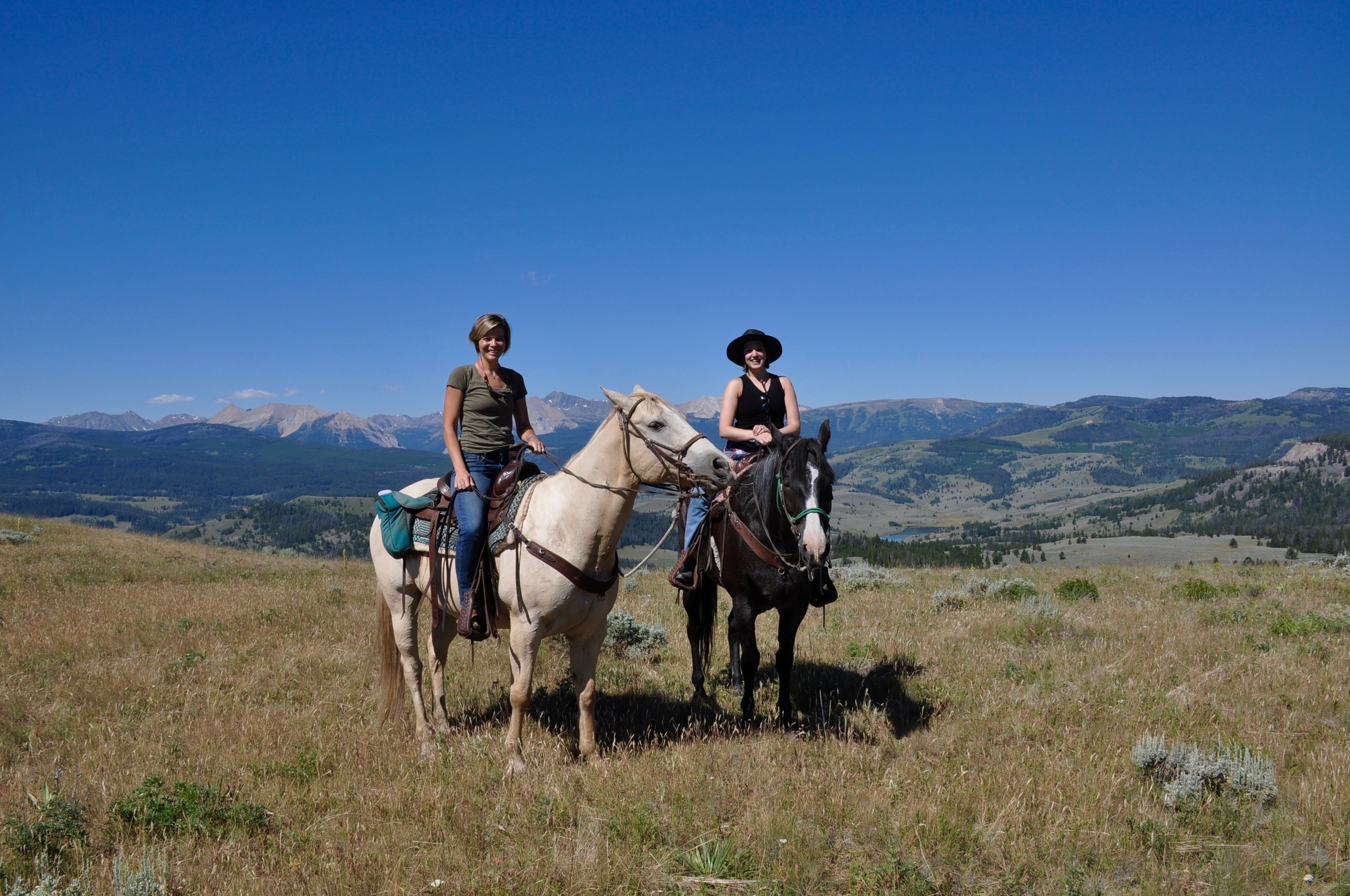 We pause in the high Grizzly Pasture - Elk and Eagles, no bear