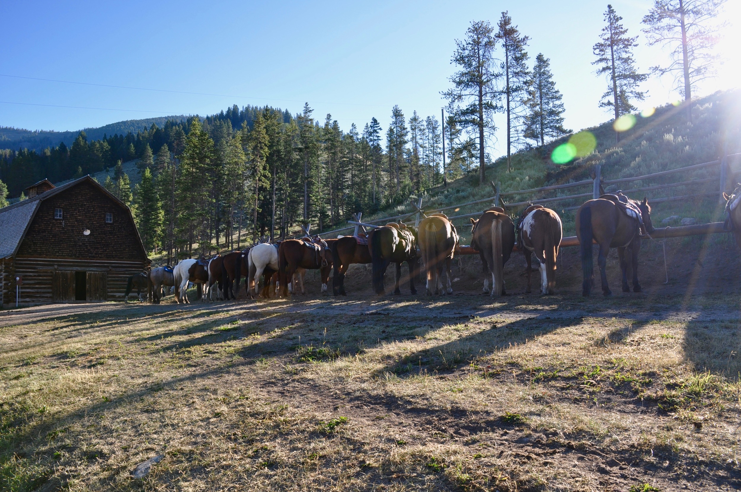 320 Guest Ranch was an amazing experience and Ben and Sarah are great hosts