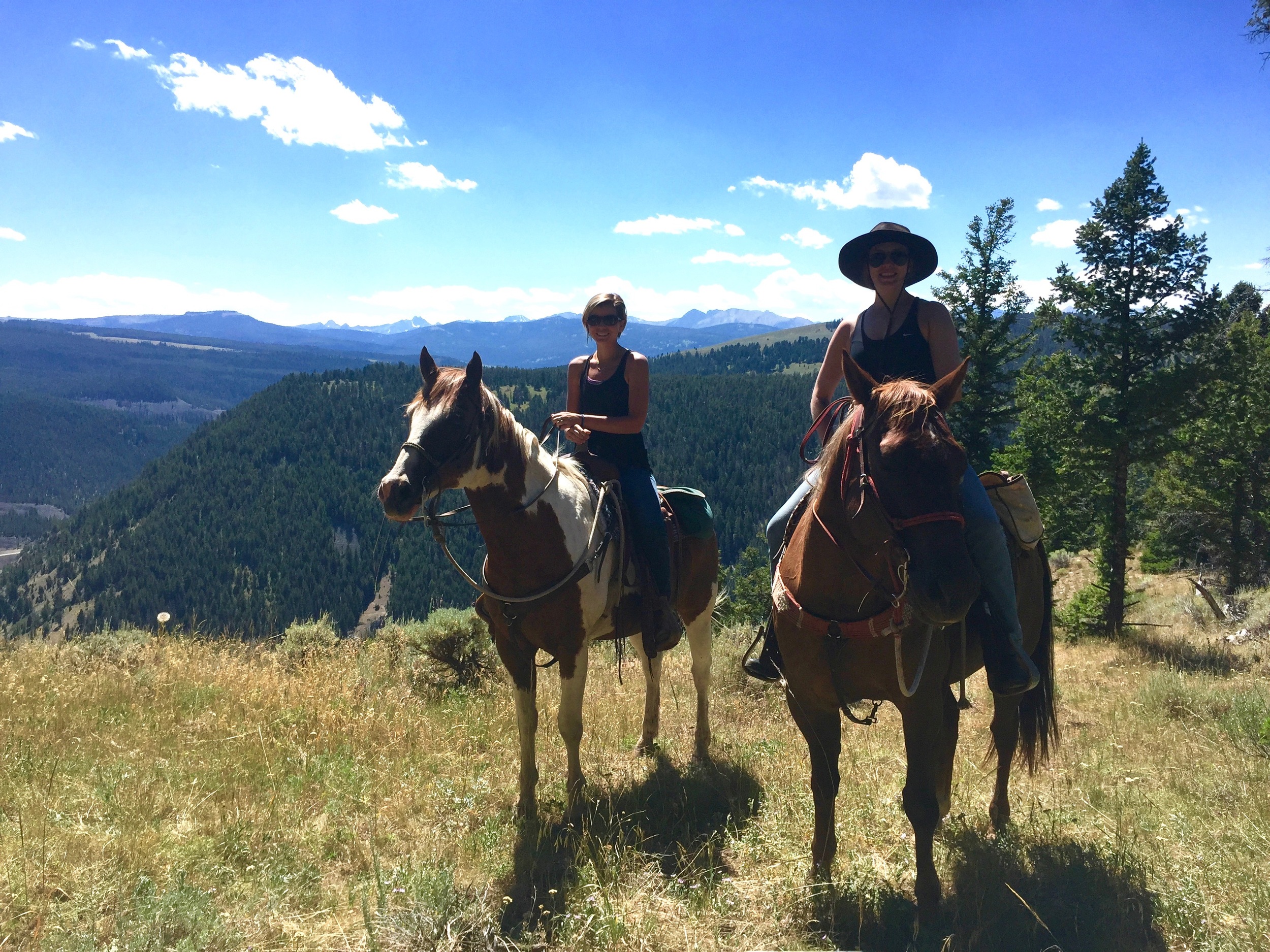 Not a bad view at all, though glad these horses were solid standing on the edge of the cliff.