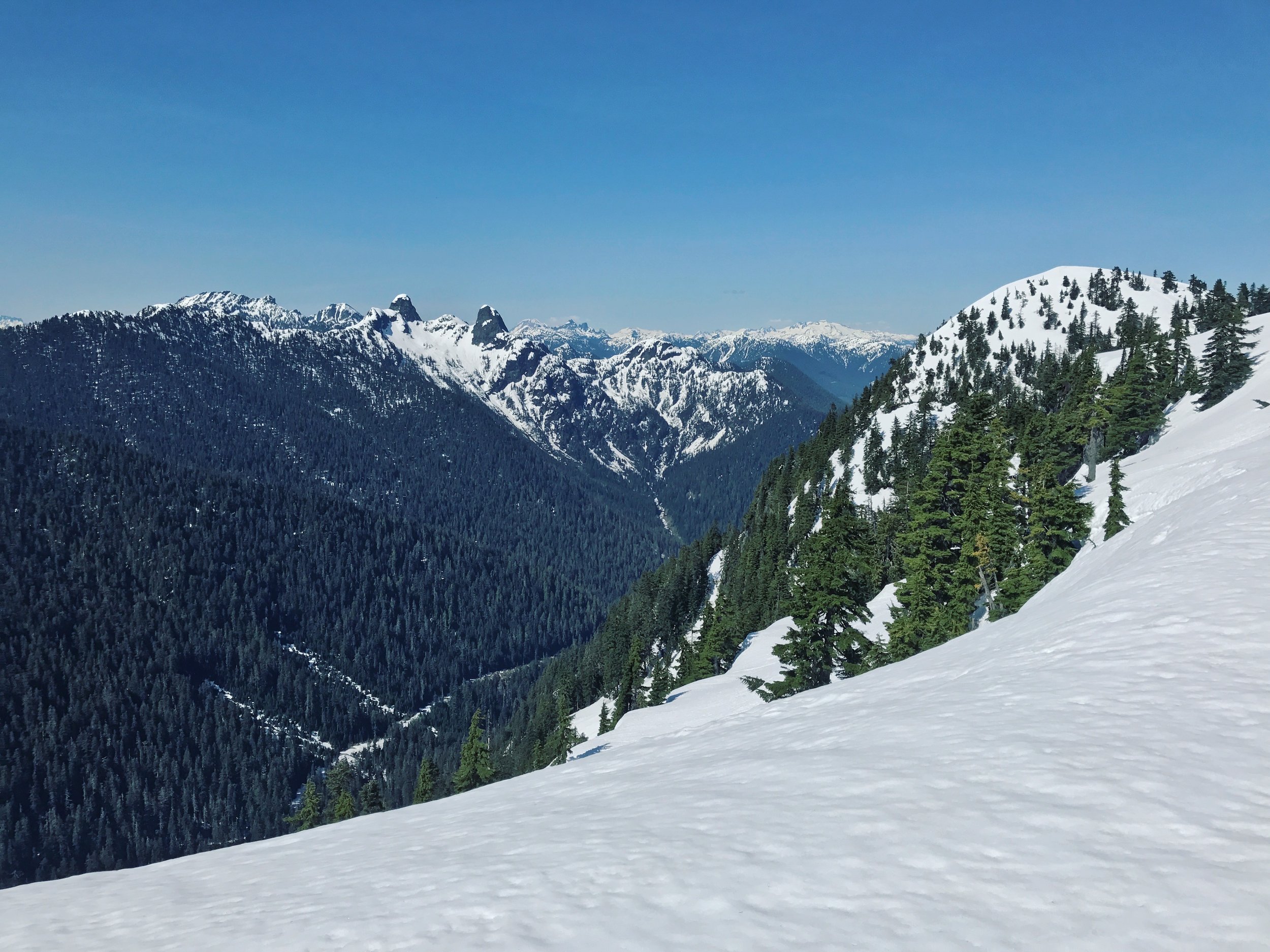 IMG_4227.jpg