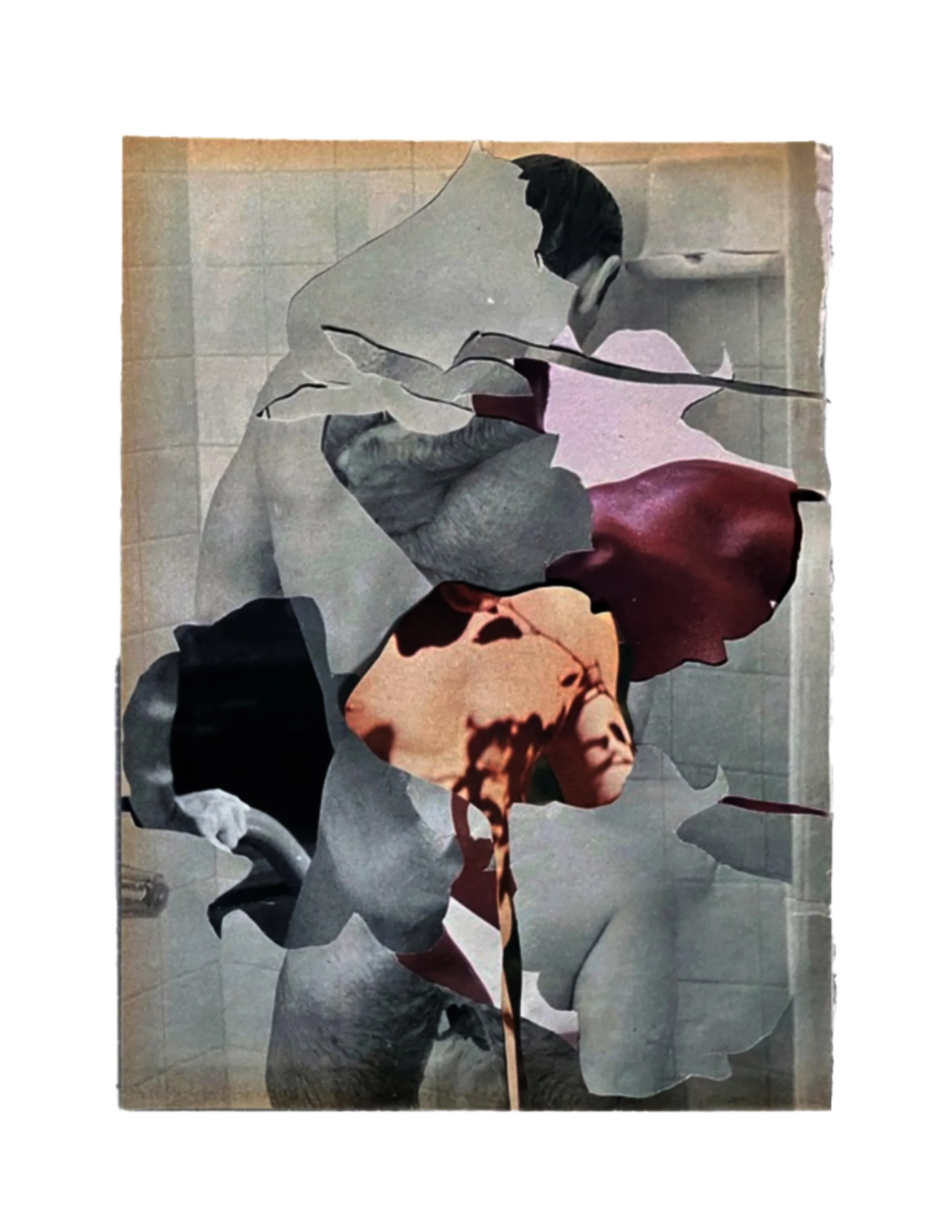 series: Queer Interludes 2  | soapy dish | analog collage    8 x 10 inches     ©RafaelSantiago2023