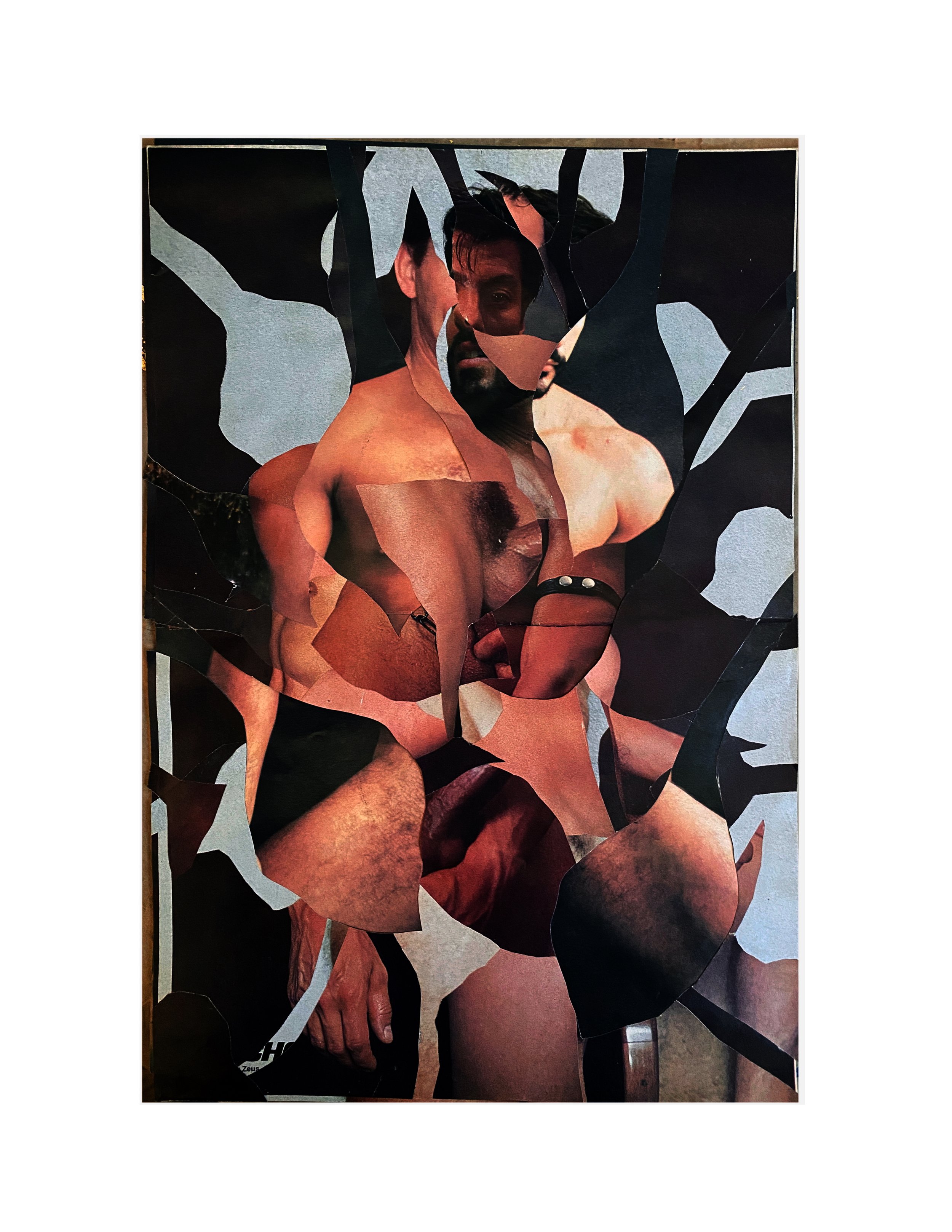series: queer interludes 2 | return my flowers |  analogue collage | vintage tear sheets (80’s gay porn) vintage postcard | 10 × 16  inches  unframed  signed  ©RS2025