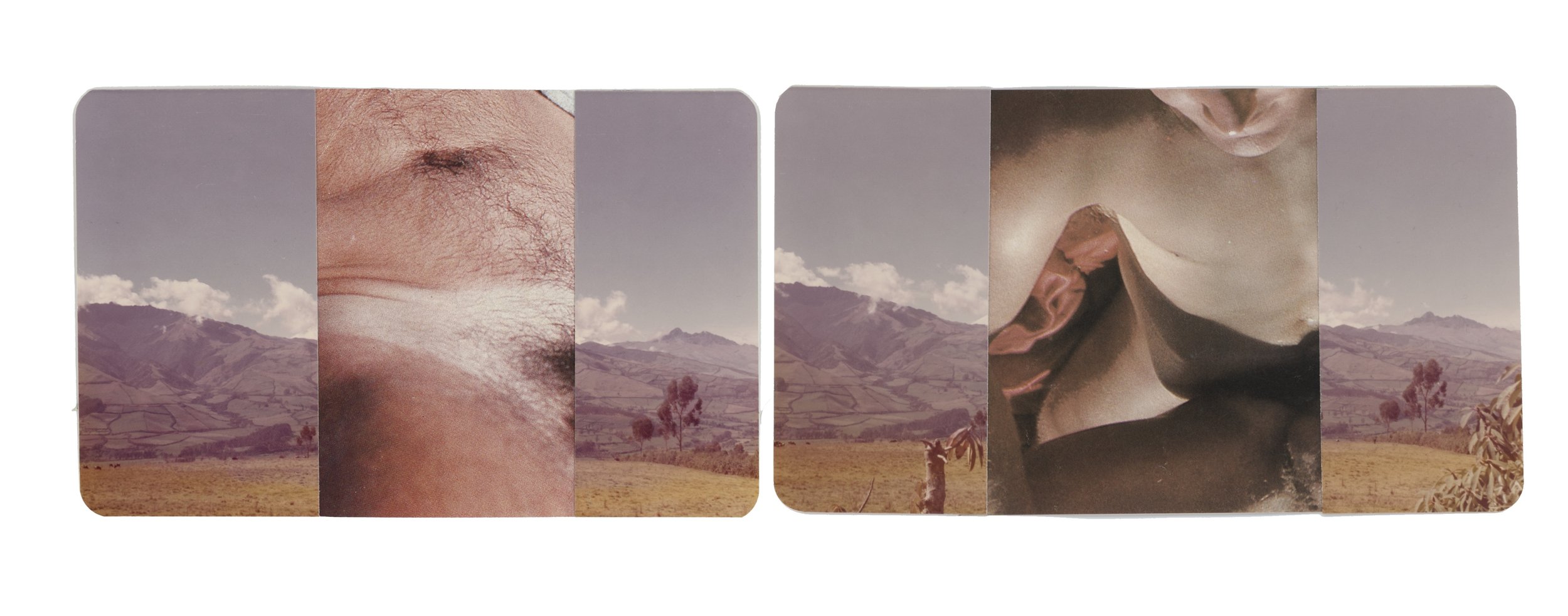 Series: so fine like paradise |  the double |  collage |  4 x 6 inches each  ©RafaelSantiago2024