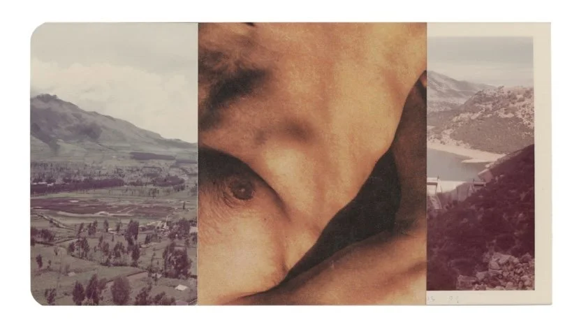 Series: so fine like paradise | hillside fuck |  collage |  4x6 inches  ©RafaelSantiago2025