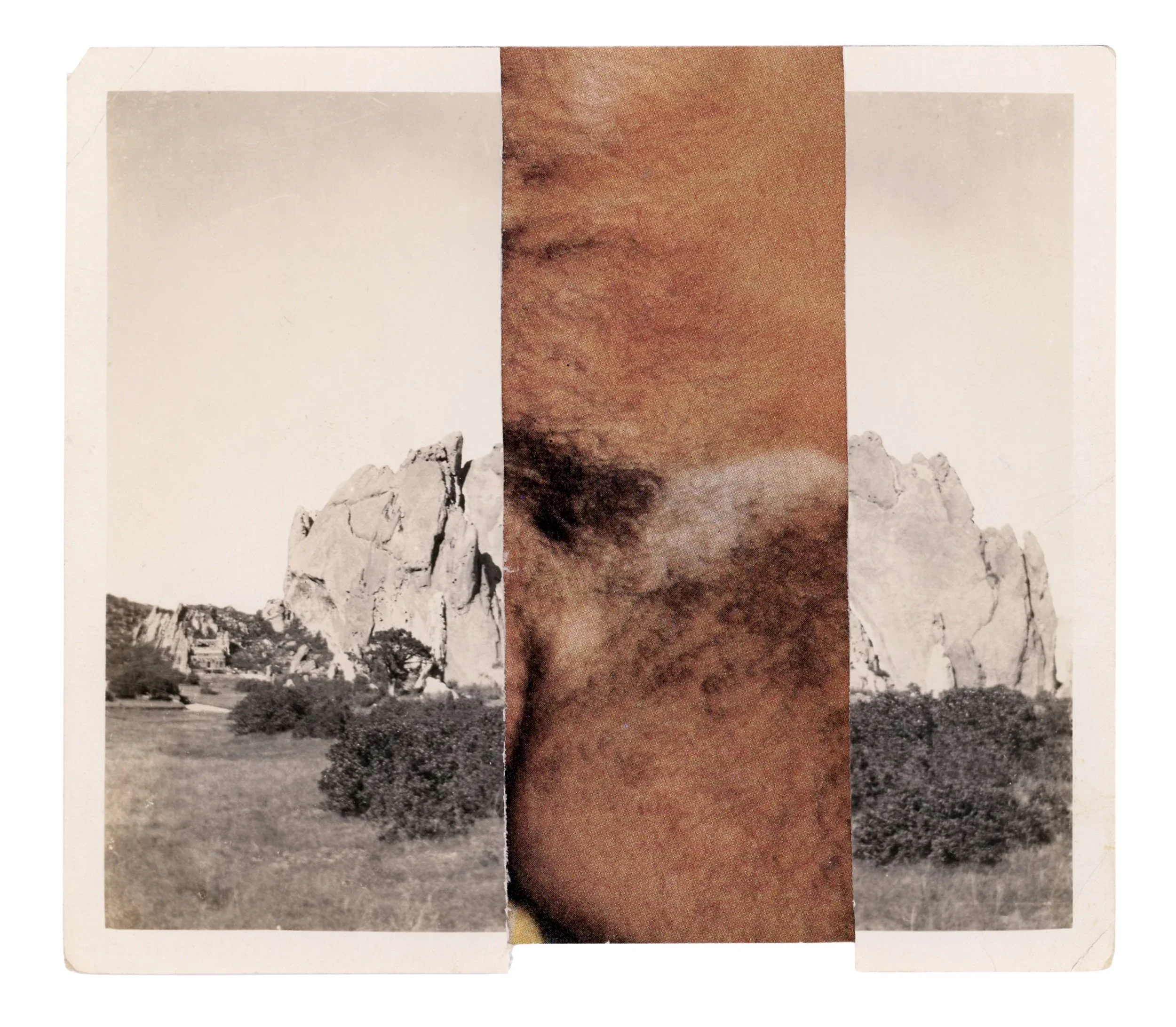 Series: so fine like paradise |  pubes |  collage |  4.5 x 5 inches  ©RafaelSantiago2022 SOLD