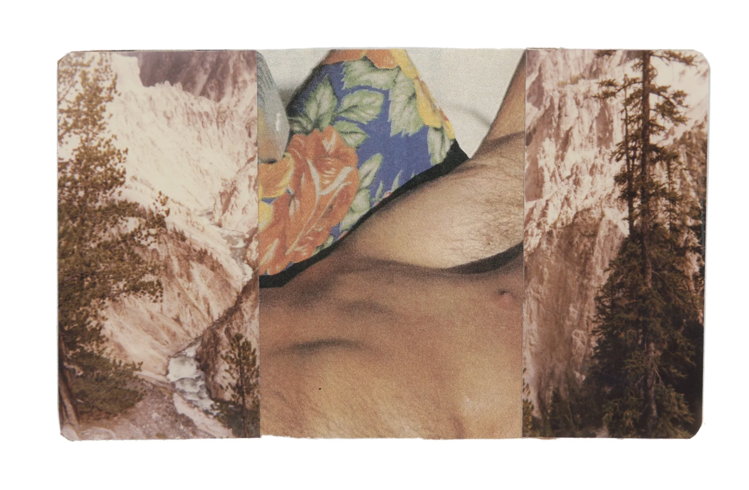 Series: so fine like paradise |  nipple |  collage |  4x6 inches  ©RafaelSantiago2022