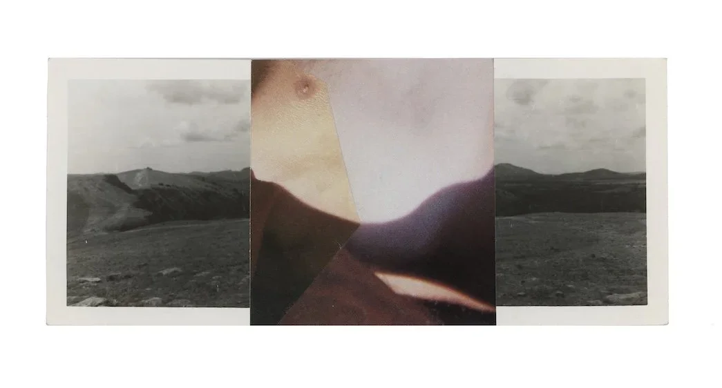 Series: so fine like paradise |  dip |  collage |  5 x 3.6 inches  ©RafaelSantiago2024 