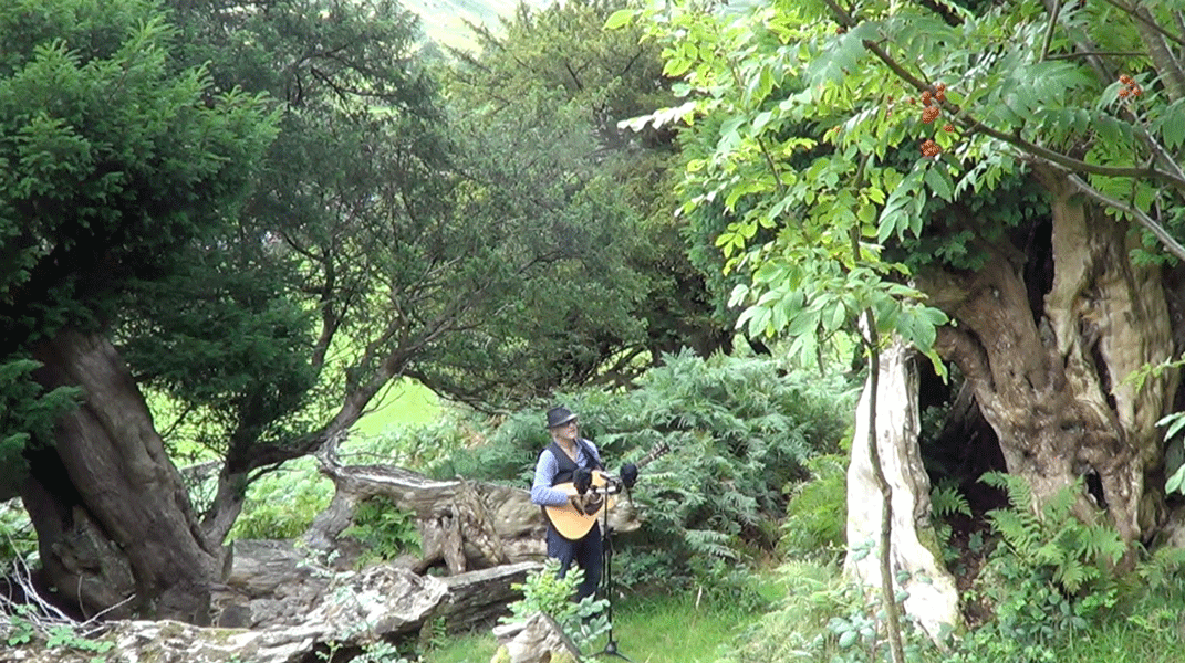 Dave-Borrowdale-Yews.gif