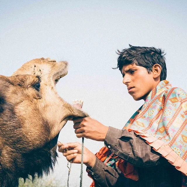 Archive: Somewhere near the border of Pakistan. A young boy sets a harness on one of his camels. This shot was taken during a journey deep into the Thar Desert. Among all my travels, this is one of the remote places that I would revisit again in my l