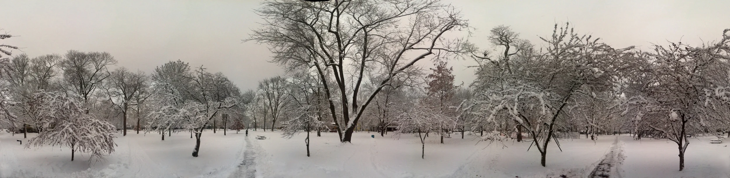 Wesleyan Quad in Snow.jpg