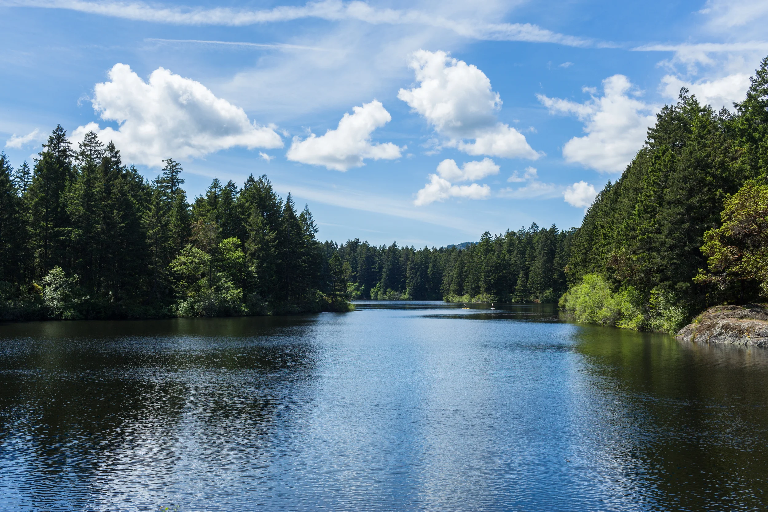 20140518 Thetus Lake Hike GJ3A8429.jpg