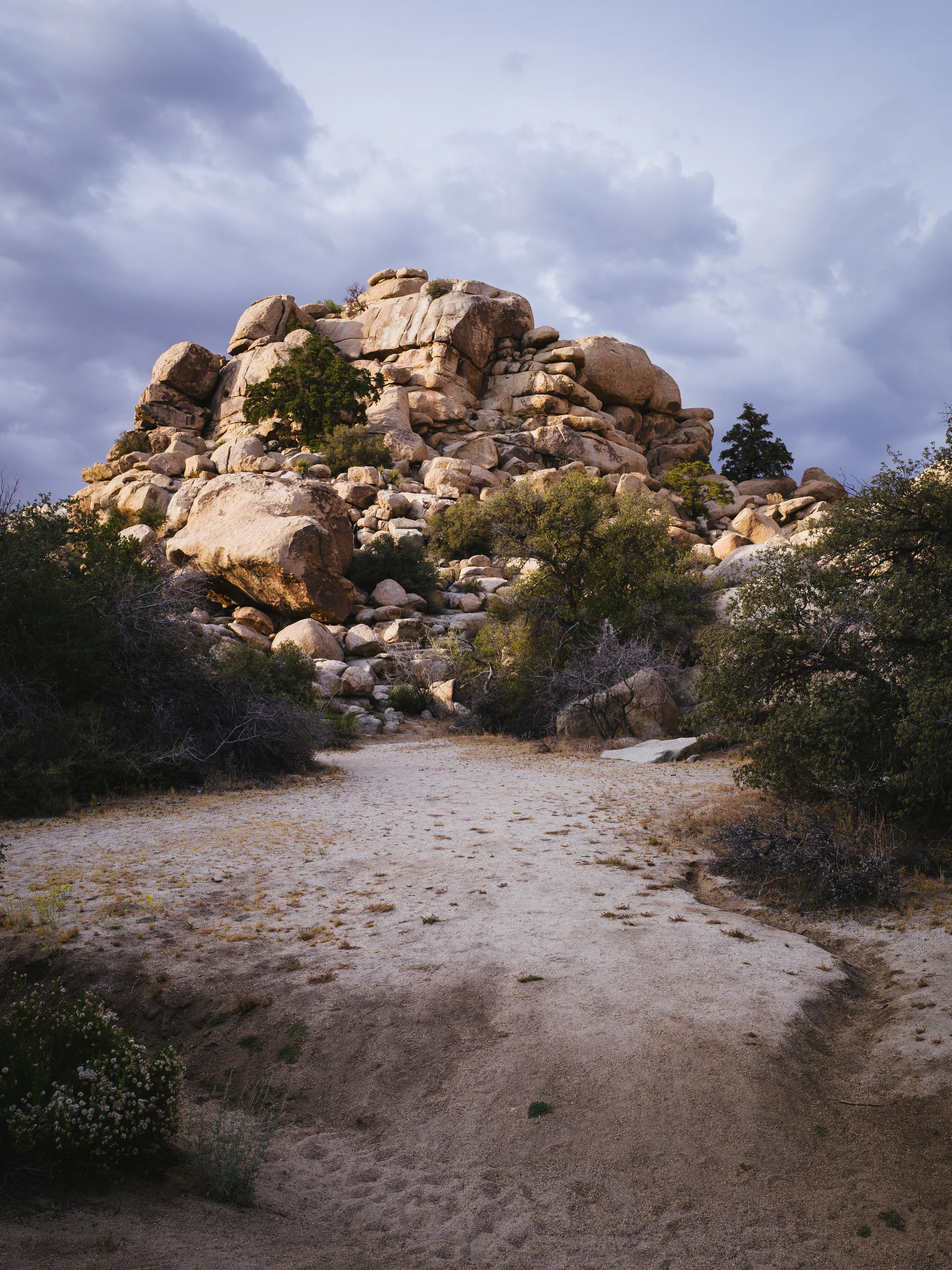 2016 Palm Springs and LA 1050157.jpg