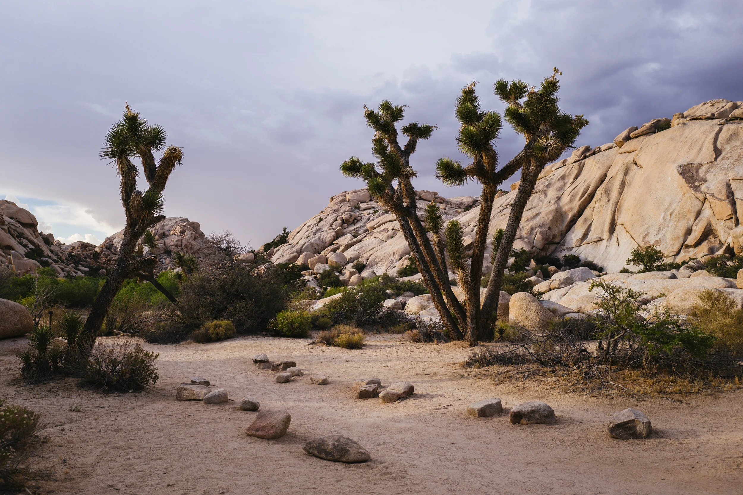 2016 Palm Springs and LA 1050172.jpg