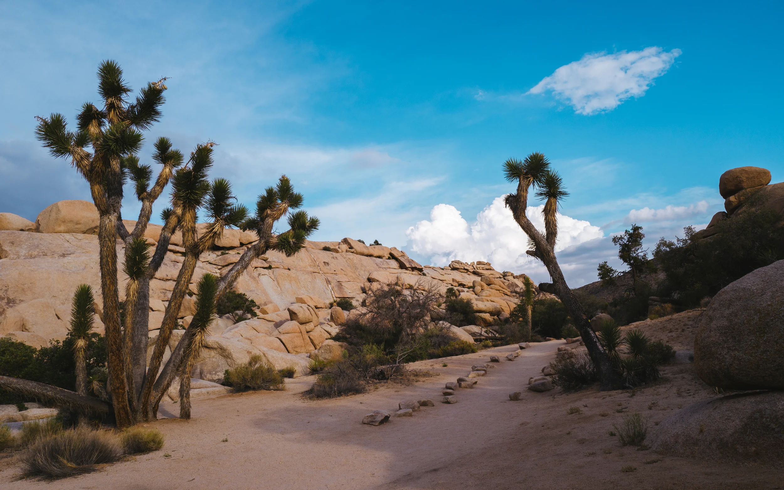 2016 Palm Springs and LA 1050190.jpg