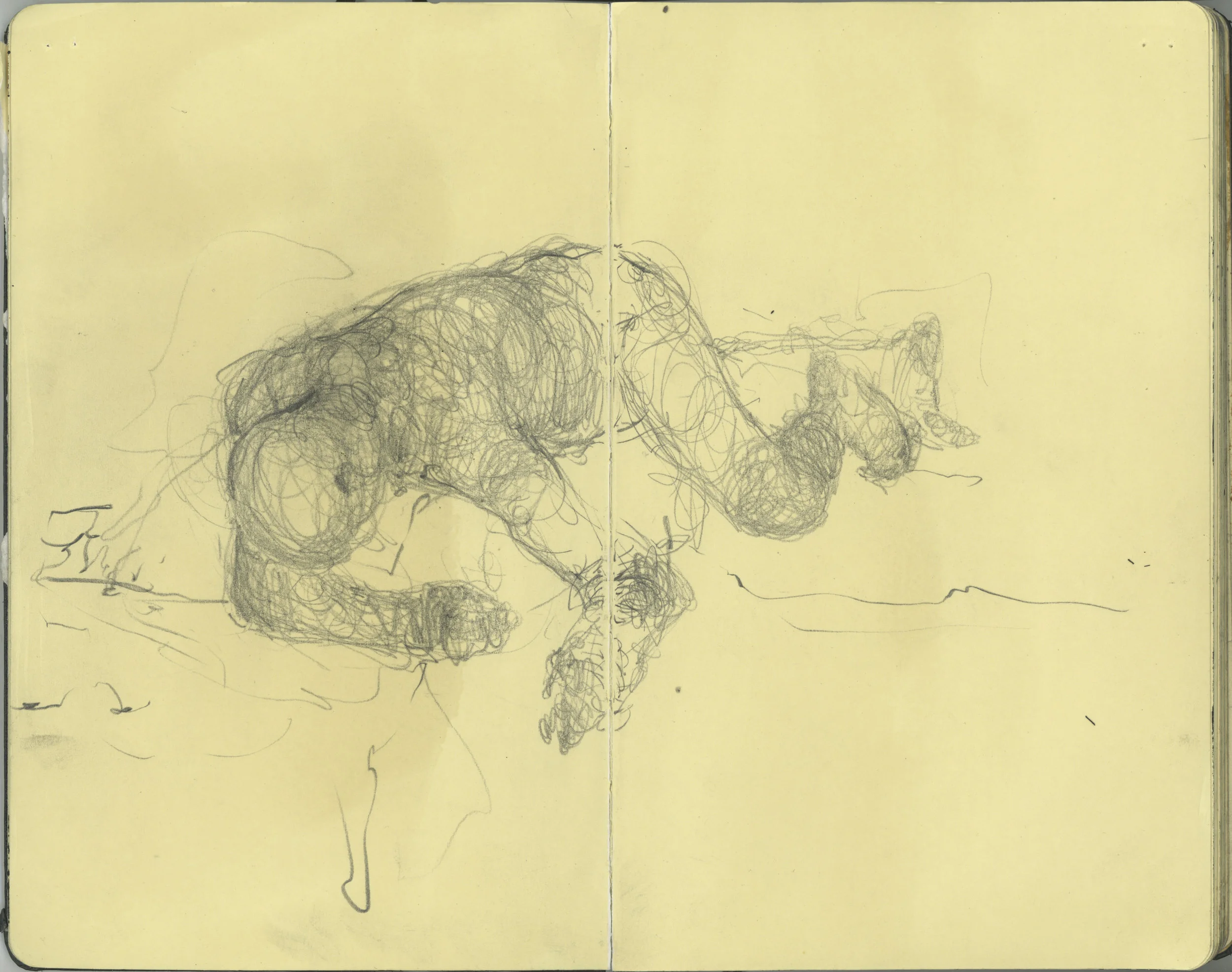 sketchbook small mole 21.jpeg_1.JPG