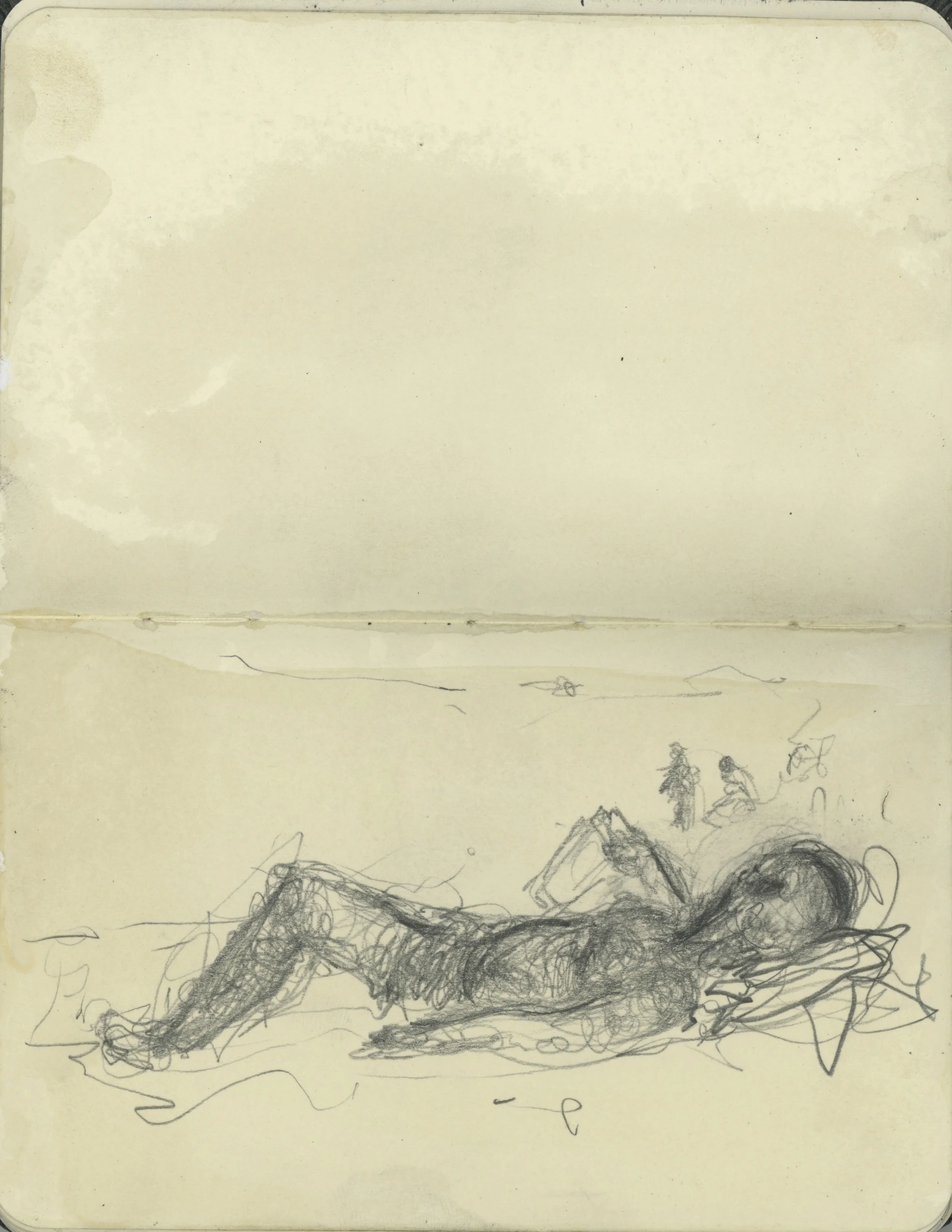 sketchbook small mole 29.jpeg_1.JPG