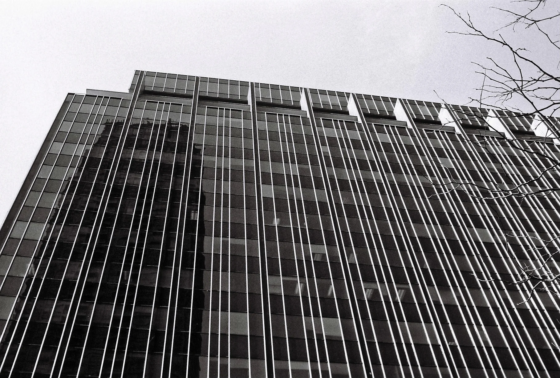 000053_DxO.jpg