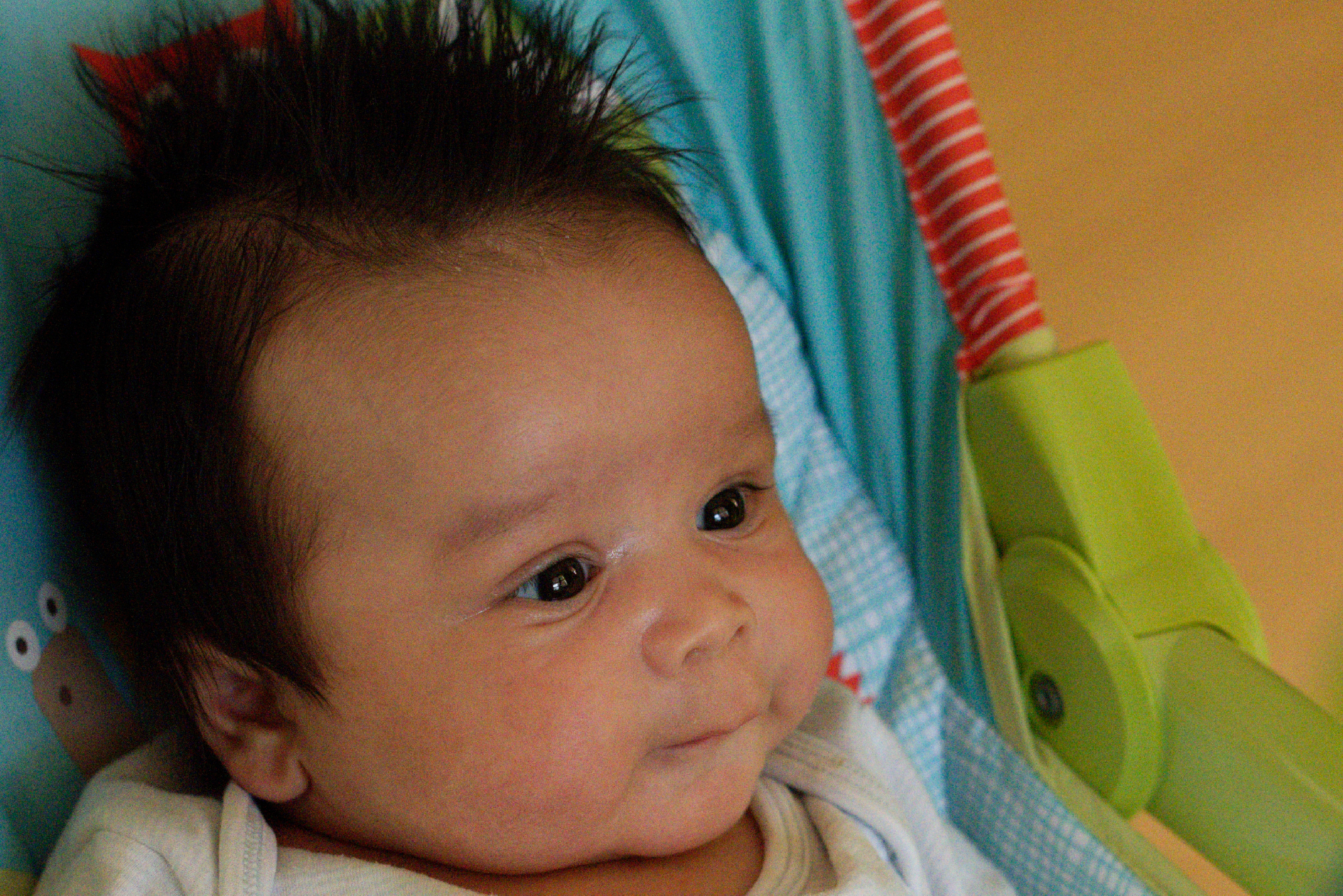 Jian 11 weeks